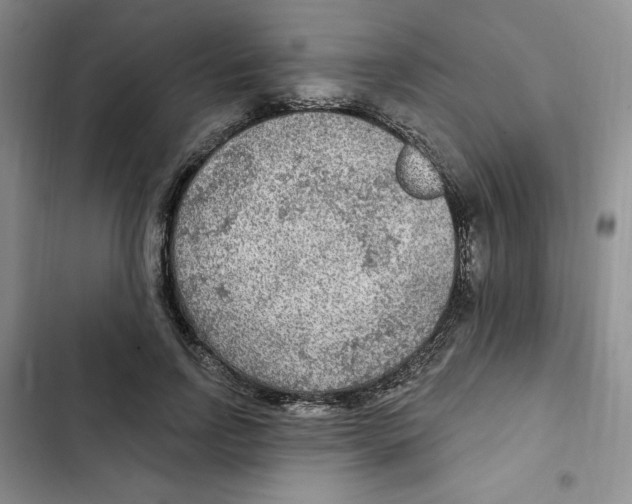 X0000102280742200808221303