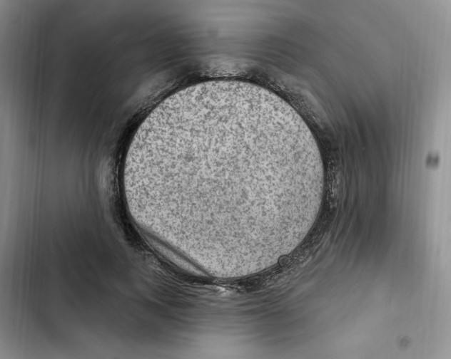 X0000102280743200808221303