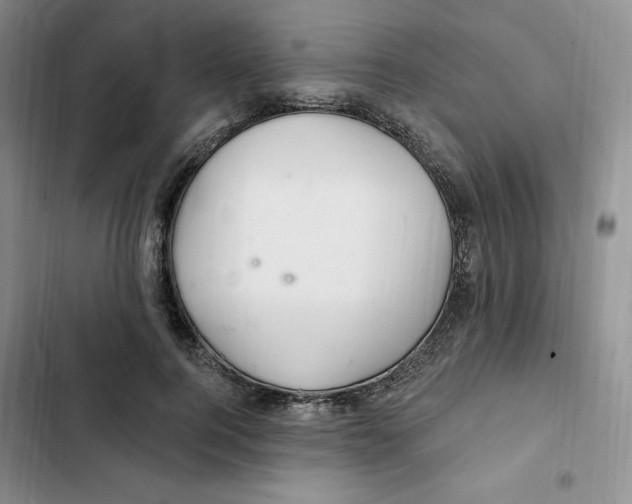 X0000102280744200808221303