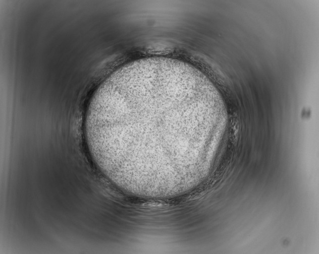 X0000102280745200808221303