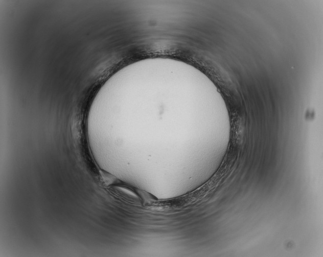 X0000102280746200808221304