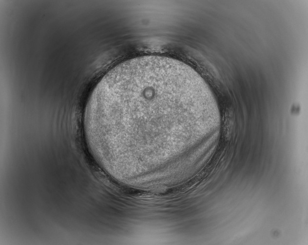 X0000102280747200808221304