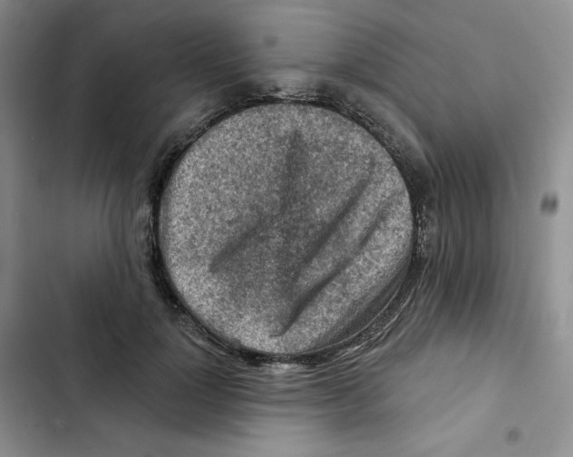 X0000102280748200808221304
