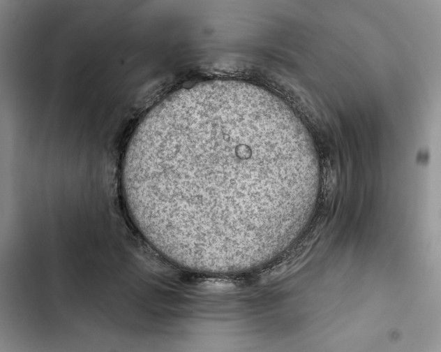 X0000102280749200808221304