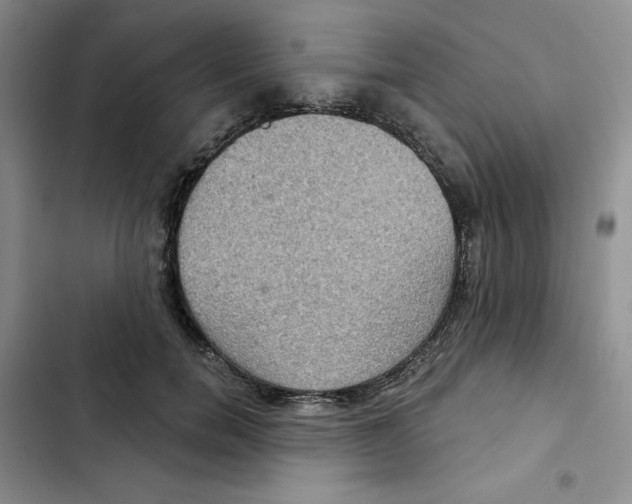X0000102280750200808221304