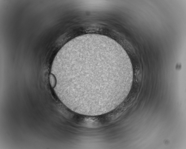 X0000102280753200808221304
