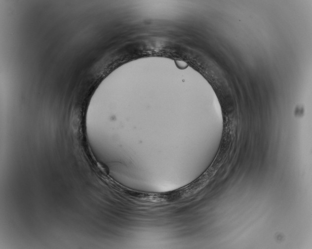 X0000102280754200808221304