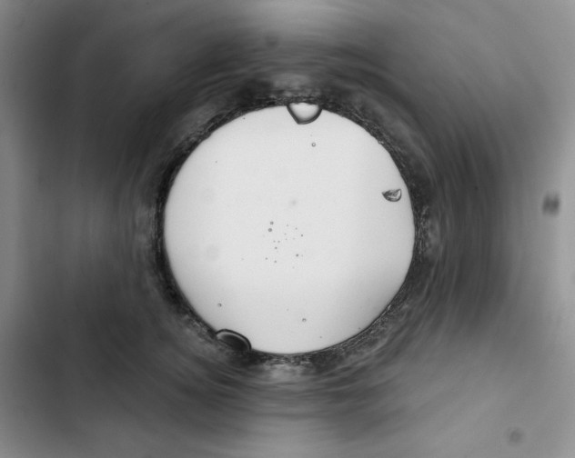 X0000102280756200808221304