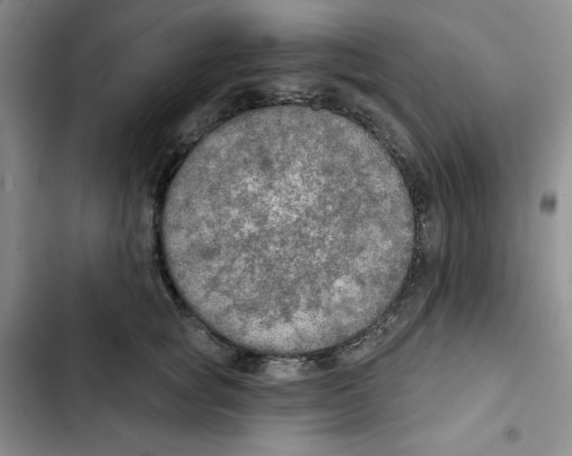 X0000102280757200808221304