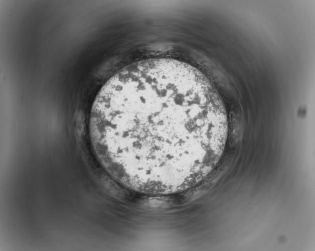 X0000102280758200808221304