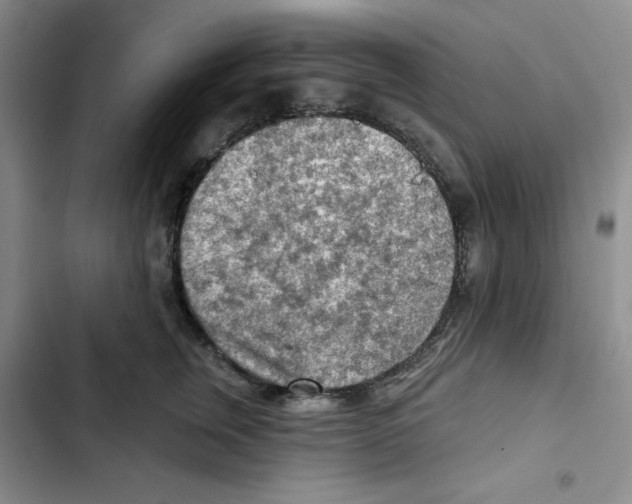 X0000102280759200808221304
