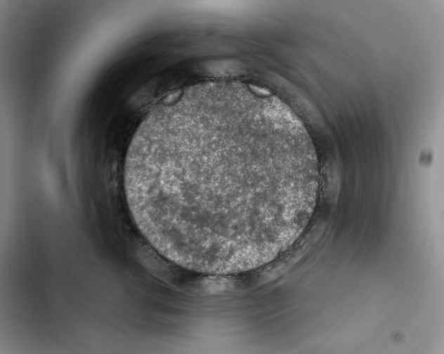 X0000102280762200808221304
