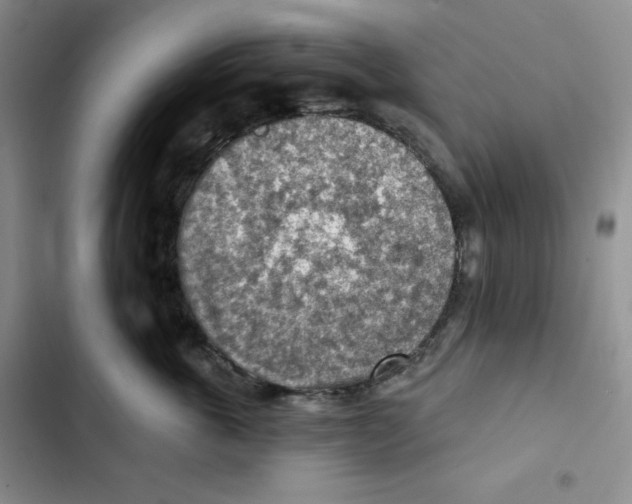 X0000102280763200808221304