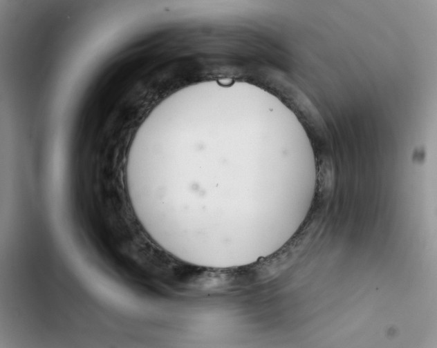 X0000102280764200808221304