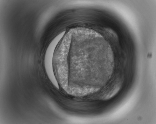 X0000102280766200808221304