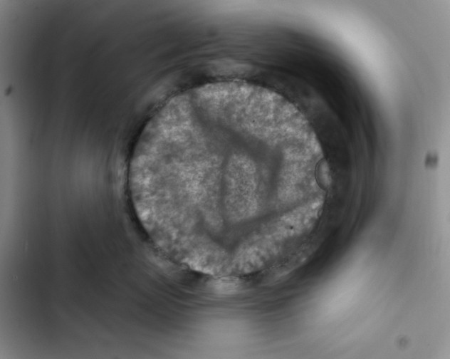 X0000102280767200808221304