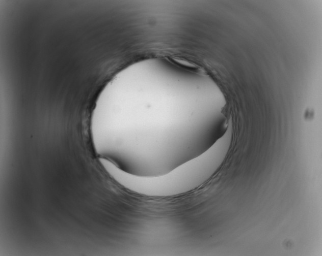 X0000102280768200808221304