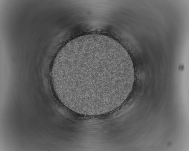 X0000102280769200808221303