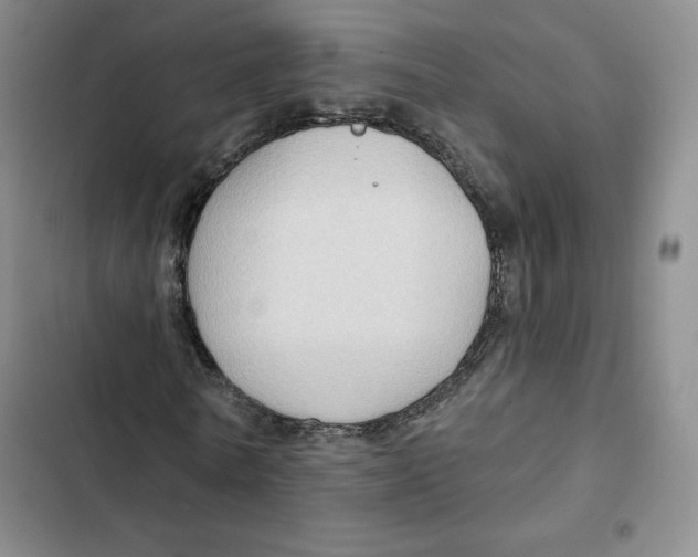 X0000102280770200808221303
