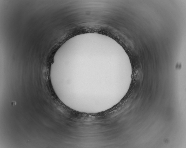 X0000102280772200808221303