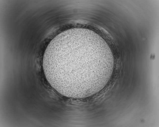 X0000102280774200808221303