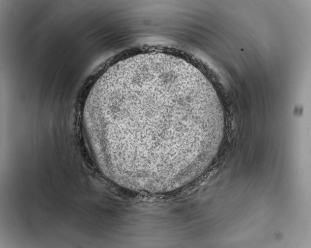X0000102280775200808221303