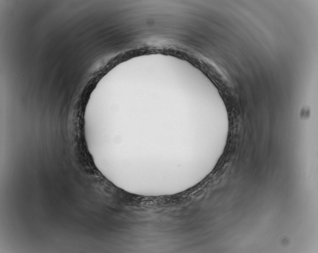 X0000102280776200808221303