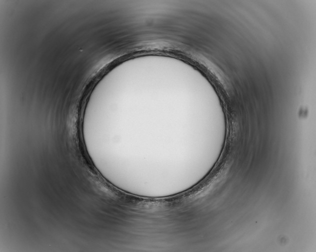 X0000102280778200808221303