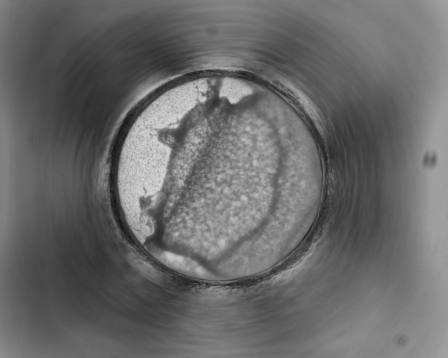 X0000102280779200808221303