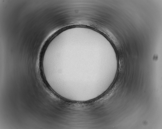 X0000102280780200808221303