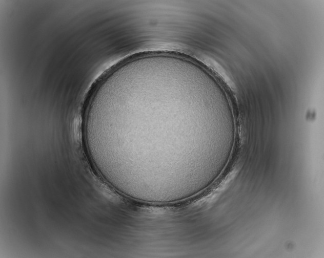 X0000102280781200808221303