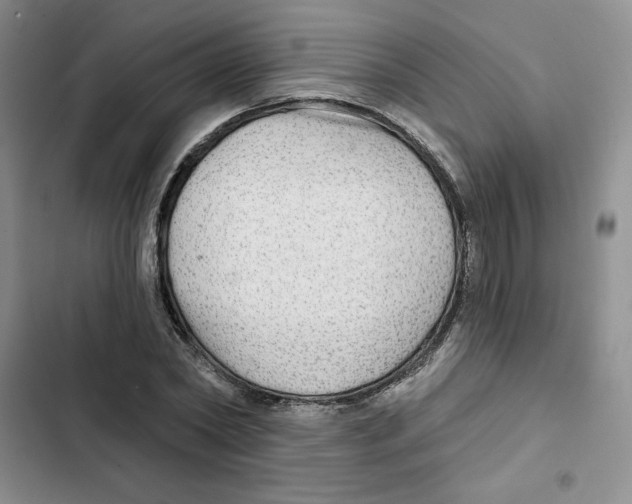X0000102280782200808221303