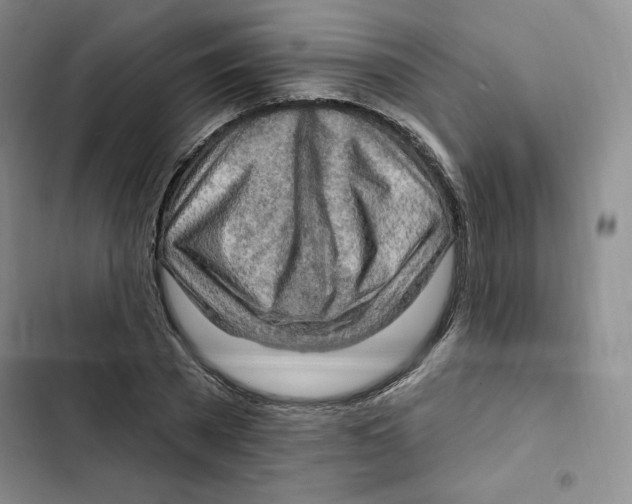 X0000102280785200808221303