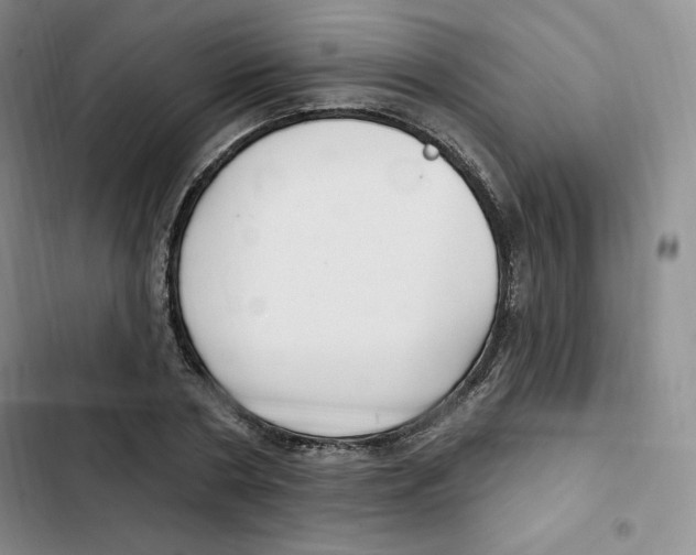 X0000102280786200808221303