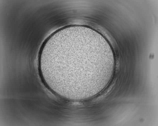 X0000102280787200808221303