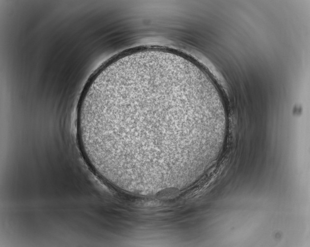 X0000102280791200808221303