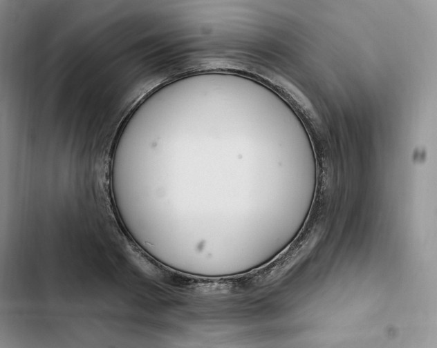 X0000102280793200808221303