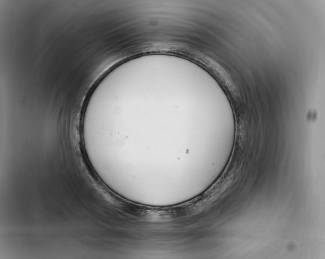X0000102280794200808221303