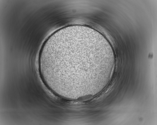 X0000102280795200808221303