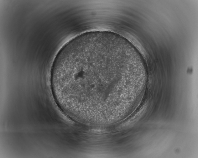 X0000102280797200808221303