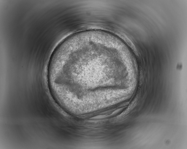X0000102280798200808221303
