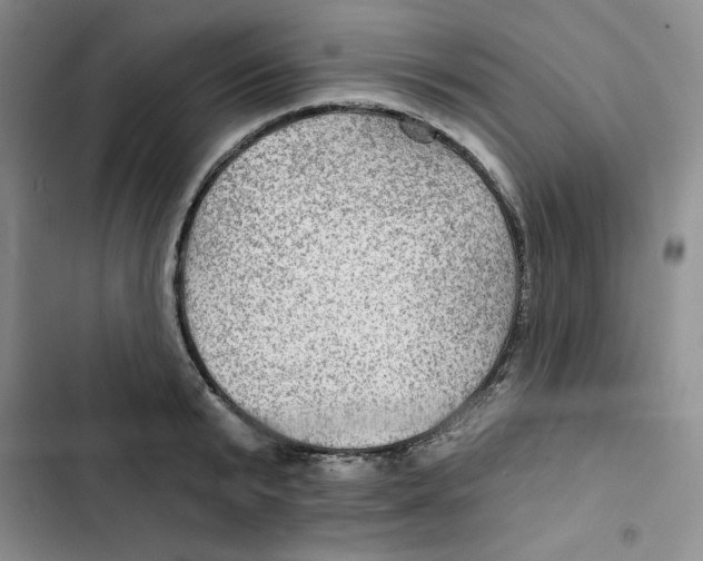 X0000102280799200808221303