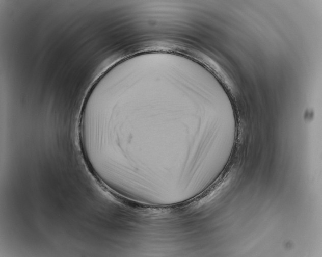 X0000102280802200808221303