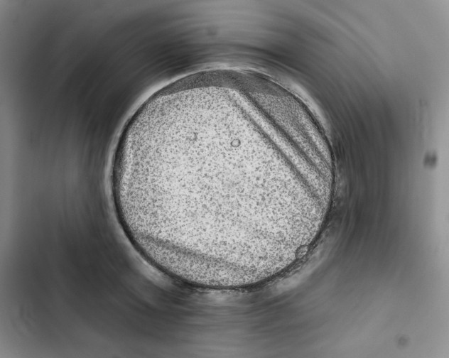 X0000102280803200808221303