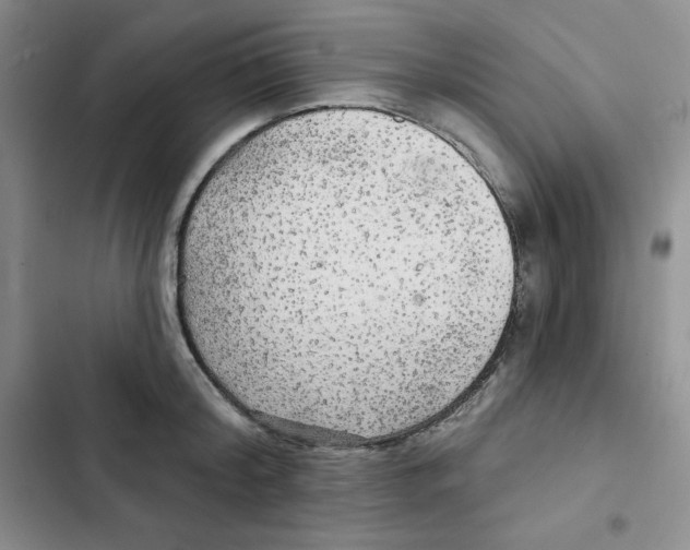 X0000102280804200808221303