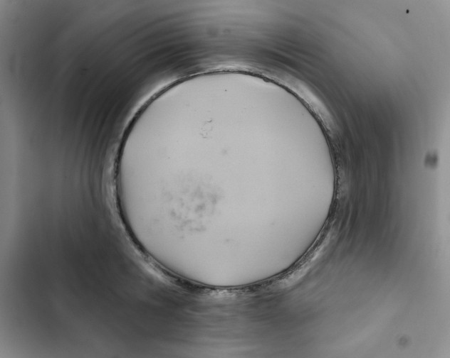 X0000102280806200808221303