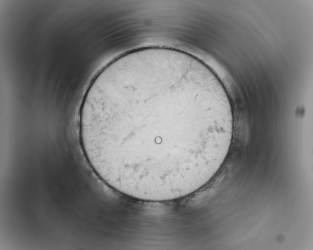 X0000102280807200808221303