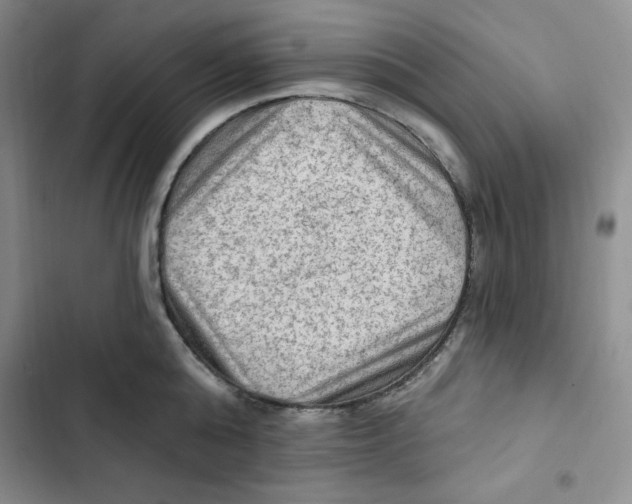 X0000102280808200808221303