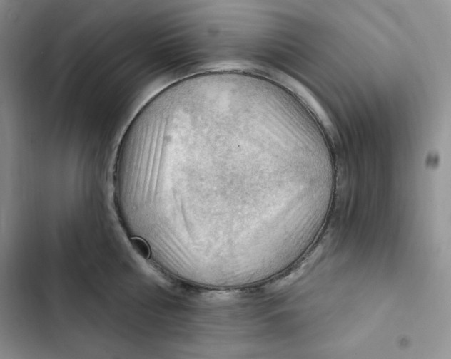 X0000102280810200808221303