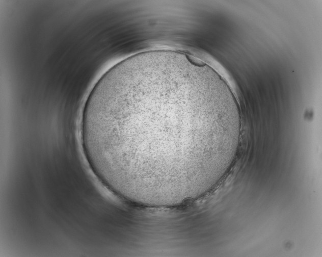 X0000102280811200808221303